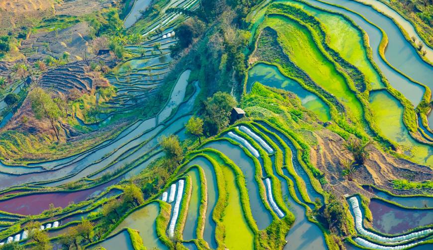 宝妈必备神器：乐至县产品视频拍摄轻松育儿好帮手