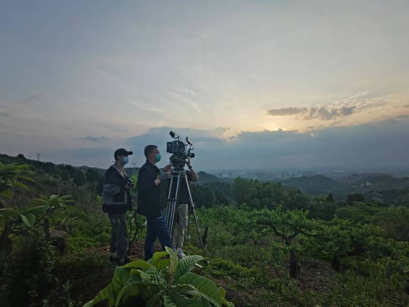 创意破圈！乐至县电商产品宣传视频用故事化叙事引爆流量