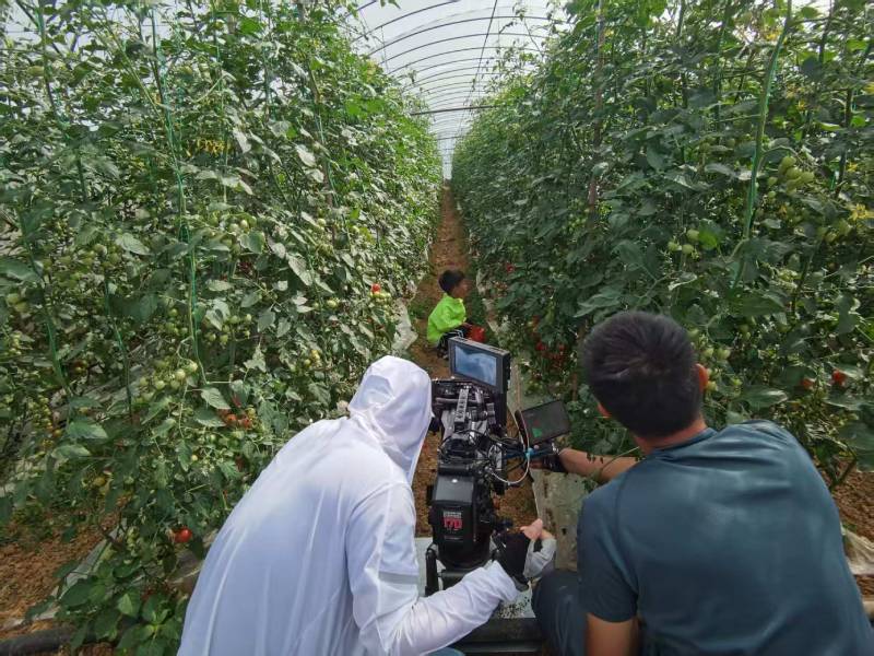 乐至县产品宣传视频拍摄公司进阶指南，助力品牌抢占传播高地